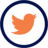 icon-twitter